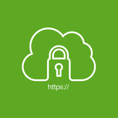 SSl  سازمانی دامنه ملی استاندارد