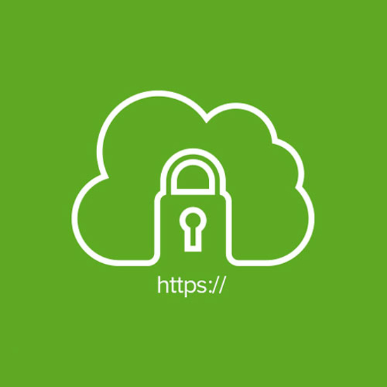 SSl  سازمانی دامنه ملی استاندارد
